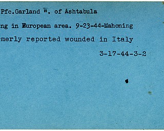 World War II, Vindicator, Garland W. Fox, Ashtabula, missing, Europe, 1944, Mahoning, wounded, Italy