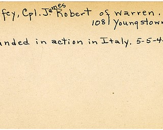 World War II, Vindicator, James Robert Gaffey, Warren, wounded, Italy, 1945, Trumbull
