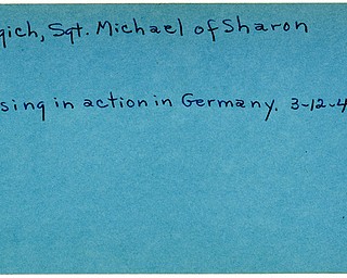 World War II, Vindicator, Michael Gagich, Sharon, missing, Germany, 1945, Trumbull
