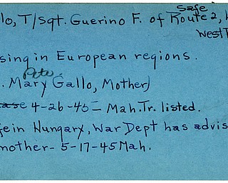 World War II, Vindicator, Guerino F. Gallo, missing, Europe, safe, Mary Gallo, 1945, Mahoning, Trumbull
