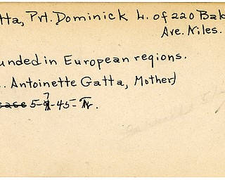 World War II, Vindicator, Dominick L. Gatta, Niles, wounded, Europe, Antoinette Gatta, 1945, Trumbull