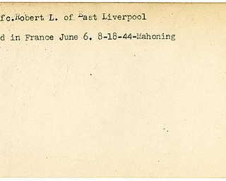 World War II, Vindicator, Robert L. Geer, East Liverpool, wounded, France, 1944, Mahoning