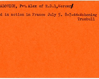 World War II, Vindicator, Alex Generalovich, Mercer, killed, France, 1944, Mahoning, Trumbull