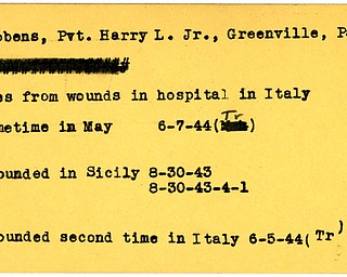 World War II, Vindicator, Harry L. Gibbens Jr, Greenville, died, killed, wounded, Italy, 1944, Trumbull, Sicily, 1943