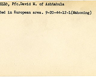 World War II, Vindicator, David M. Gioiello, Ashtabula, wounded, Europe, 1944, Mahoning