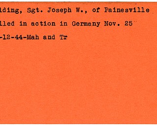 World War II, Vindicator, Joseph W. Golding, Painesville, killed, Germany, 1944, Mahoning, Trumbull