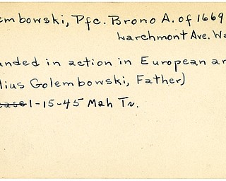 World War II, Vindicator, Brono A. Golembowski, Warren, wounded, Europe, Julius Golembowski, 1945, Mahoning, Trumbull