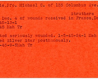 World War II, Vindicator, Michael C. Goskie, Struthers, died, killed, wounded, France, 1945, Mahoning, Trumbull, Silver Star, award, posthumously