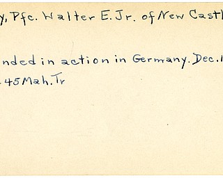 World War II, Vindicator, Walter E. Gray Jr., New Castle, wounded, Germany, 1945, Mahoning, Trumbull