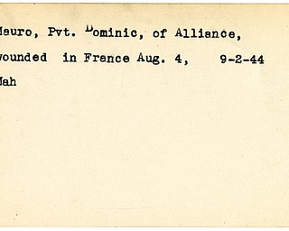 World War II, Vindicator, Dominic Mauro, Alliance, wounded, France, 1944, Mahoning