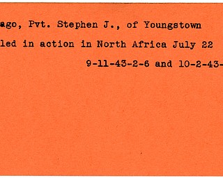 World War II, Vindicator, Stephen J. Melago, Youngstown, killed, North Africa, 1943