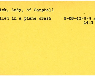 World War II, Vindicator, Andy Melek, Campbell, killed, plane crash, 1943
