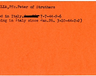 World War II, Vindicator, Peter Mignella, Struthers, missing, Italy, killed, 1944