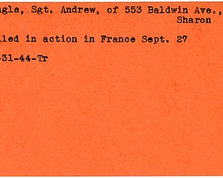 World War II, Vindicator, Andrew Naugle, Sharon, killed, France, 1944, Trumbull