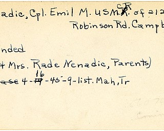 World War II, Vindicator, Emil M. Nenadic, Campbell, wounded, Mr. & Mrs. Rade Nenadic, 1945, Mahoning, Trumbull