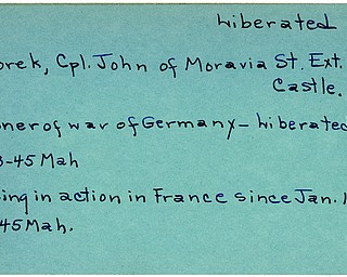 World War II, Vindicator, John Nestorek, New Castle, liberated, prisoner, Germany, missing, France, 1945, Mahoning