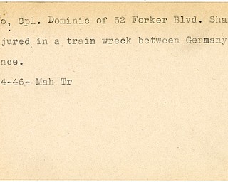 World War II, Vindicator, Dominic Nigro, Sharon, injured, wounded, train wreck, Germany, France, 1946, Mahoning, Trumbull
