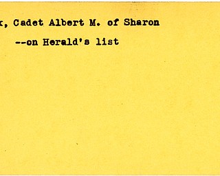 World War II, Vindicator, Albert M. Novak, Sharon, died