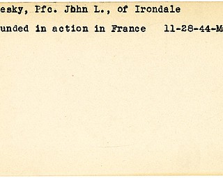 World War II, Vindicator, John L. Olesky, Irondale, wounded, France, 1944, Mahoning