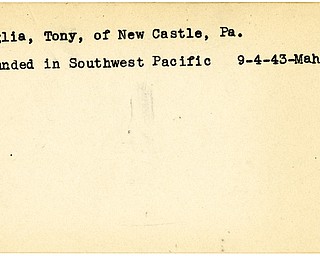 World War II, Vindicator, Tony Paglia, New Castle, Pennsylvania, wounded, Southwest Pacific, 1943, Mahoning