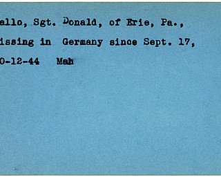 World War II, Vindicator, Donald Pallo, Erie, Pennsylvania, missing, Germany, 1944, Mahoning