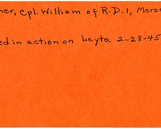 World War II, Vindicator, William Palmer, Mercer, killed, Leyte, 1945, Trumbull