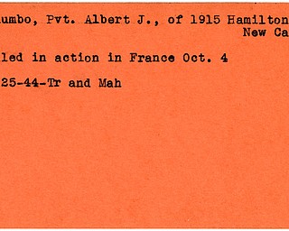 World War II, Vindicator, Albert J. Palumbo, New Castle, killed, France, 1944, Trumbull, Mahoning