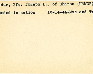 World War II, Vindicator, Joseph L. Pandur, Sharon, wounded, 1944, Mahoning, Trumbull