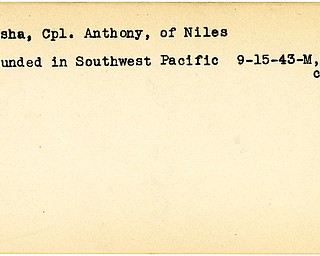 World War II, Vindicator, Anthony Pasha, Niles, wounded, Southwest Pacific, 1943, Mahoning, Trumbull, City