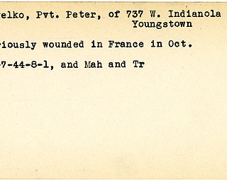 World War II, Vindicator, Peter Pavelko, Youngstown, wounded, France, 1944, Mahoning, Trumbull