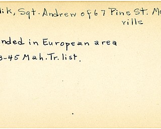 World War II, Vindicator, Andrew Pavlik, Meadville, wounded, Europe, 1945, Mahoning, Trumbull