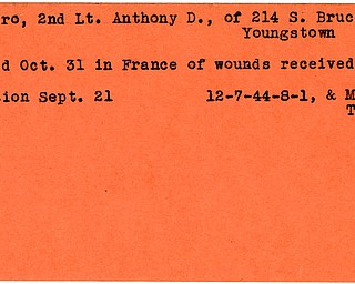 World War II, Vindicator, Anthony D. Petro, Youngstown, wounded, died of wounds, killed, 1944, Mahoning, Trumbull