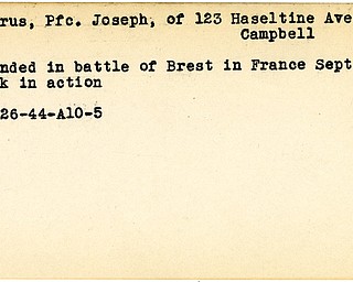 World War II, Vindicator, Joseph Petrus, Campbell, wounded, France, battle of Brest, 1944