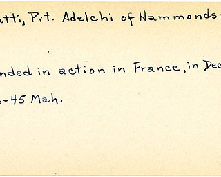 World War II, Vindicator, Adelchi Pilutti, Hammondsville, wounded, France, 1945, Mahoning