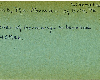 World War II, Vindicator, Norman Plumb, Erie, Pennsylvania, prisoner, Germany, Liberated, 1945, Mahoning