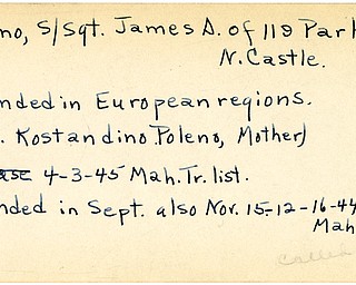 World War II, Vindicator, James A. Poleno, James S. Poleno, New Castle, wounded, Europe, Mrs. Kostandino Poleno, 1945, Mahoning, Trumbull, 1944