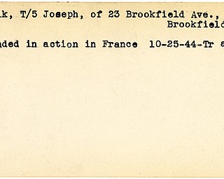 World War II, Vindicator, Joseph Popik, Brookfield Township, wounded, France, 1944, Trumbull, Mahoning