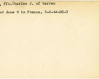 World War II, Vindicator, Charles J. Lanza, Warren, wounded, France, 1944