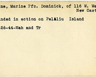World War II, Vindicator, Dominick Leone, New Castle, wounded, Peliliu Island, 1944, Mahoning, Trumbull