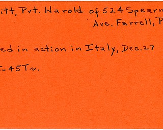 World War II, Vindicator, Harold Levitt, Farrell, Pennsylvania, killed, Italy, 1945, Trumbull