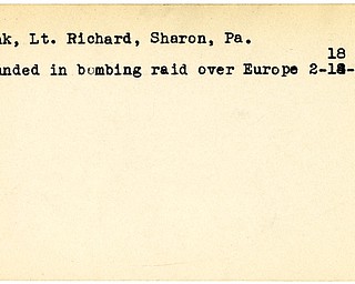World War II, Vindicator, Richard Mink, Sharon, Pennsylvania, wounded, Europe, 1944, Trumbull
