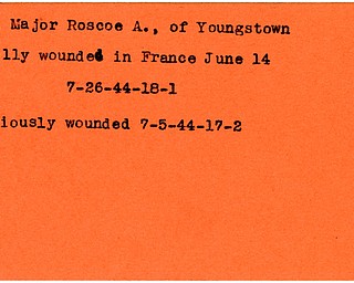 World War II, Vindicator, Roscoe A. Roy, Youngstown, wounded, fatally wounded, France, 1944