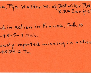 World War II, Vindicator, Walter W. Royse, North Lima, Canfield, killed, France, 1945, missing, Mahoning, Trumbull