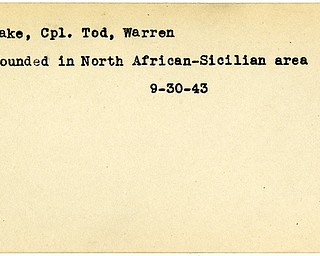 World War II, Vindicator, Tod Hake, Warren, wounded, North African-Sicilian, 1943, North Africa, Sicily