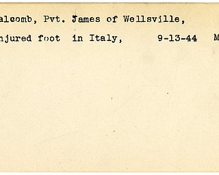 World War II, Vindicator, James Halcomb, Wellsville, wounded, Italy, 1944, Mahoning