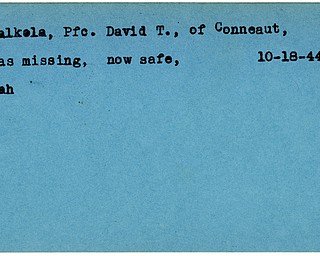 World War II, Vindicator, David T. Halkola, Conneaut, missing, safe, 1944, Mahoning