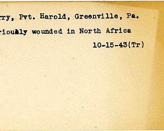 World War II, Vindicator, Harold Harry, Greenville, Pennsylvania, wounded, North Africa, Africa, 1943, Trumbull