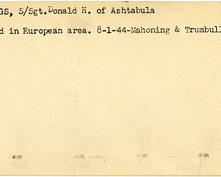 World War II, Vindicator, Donald H. Hastings, Ashtabula, wounded, Europe, 1944, Mahoning, Trumbull