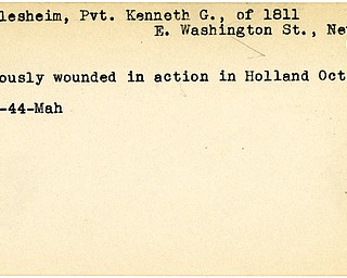 World War II, Vindicator, Kenneth G. Hillesheim, New Castle, wounded, Holland, 1944, Mahoning