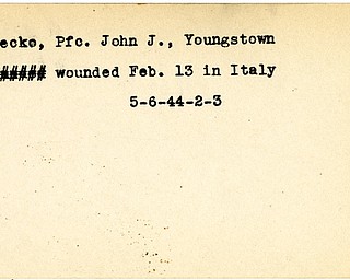 World War II, Vindicator, John J. Holecko, Youngstown, wounded, Italy, 1944